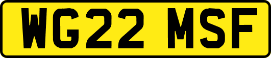 WG22MSF