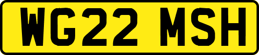 WG22MSH