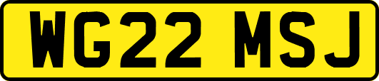 WG22MSJ