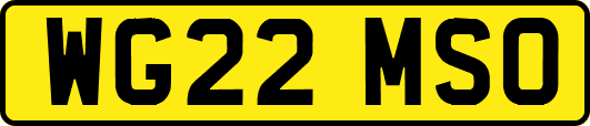 WG22MSO