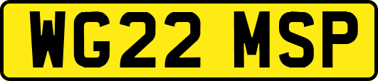 WG22MSP