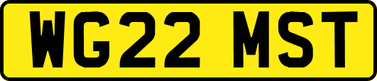 WG22MST