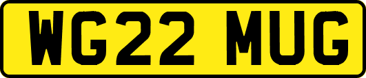 WG22MUG