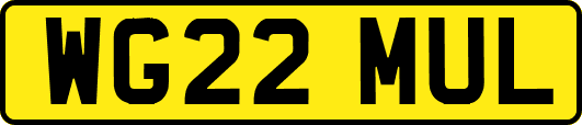 WG22MUL