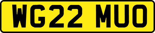 WG22MUO