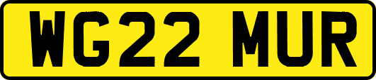 WG22MUR