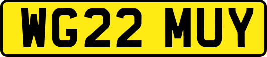 WG22MUY