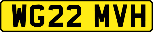 WG22MVH