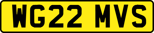 WG22MVS