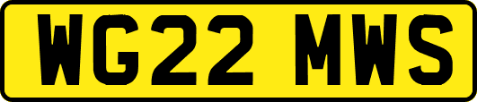 WG22MWS