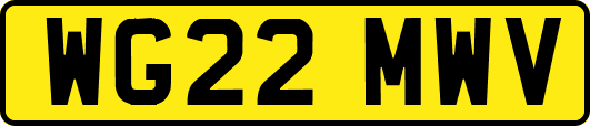 WG22MWV