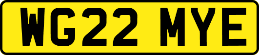 WG22MYE
