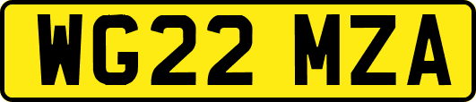 WG22MZA