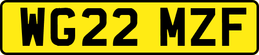 WG22MZF