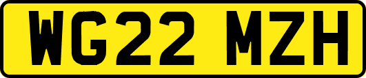 WG22MZH