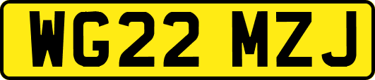 WG22MZJ