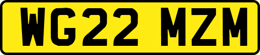 WG22MZM