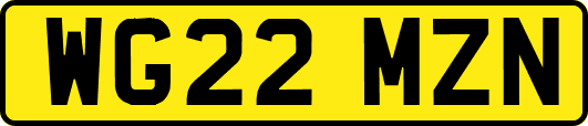 WG22MZN