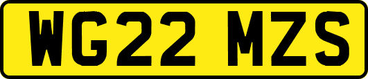 WG22MZS