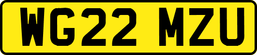 WG22MZU