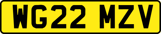 WG22MZV