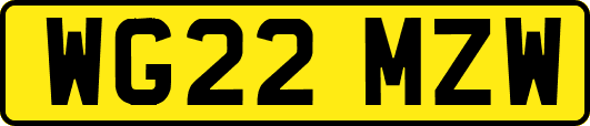 WG22MZW