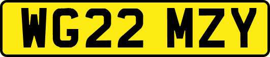 WG22MZY