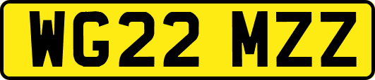 WG22MZZ