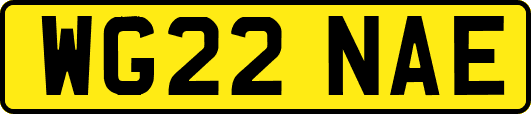 WG22NAE