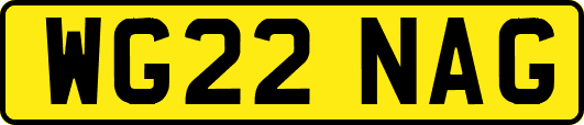 WG22NAG