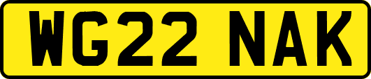 WG22NAK