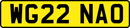 WG22NAO