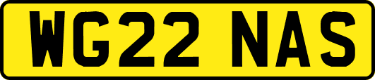 WG22NAS