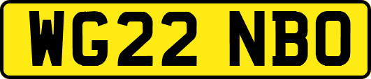 WG22NBO