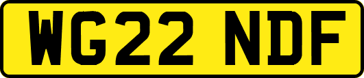 WG22NDF