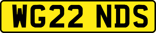 WG22NDS