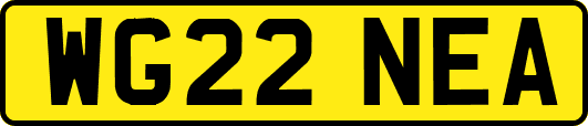 WG22NEA