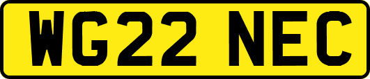 WG22NEC