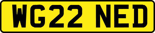 WG22NED