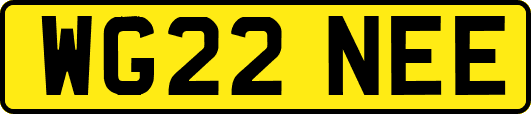 WG22NEE