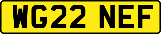 WG22NEF