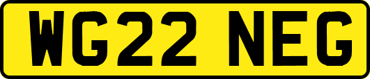 WG22NEG