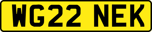 WG22NEK