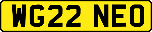 WG22NEO