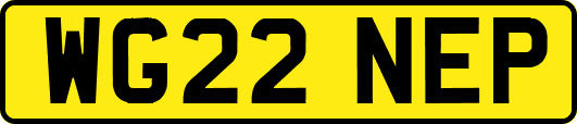 WG22NEP