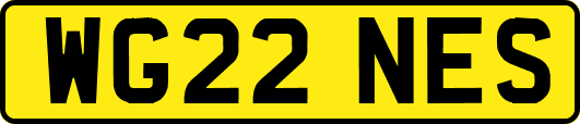 WG22NES