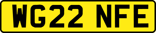 WG22NFE