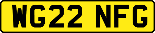 WG22NFG