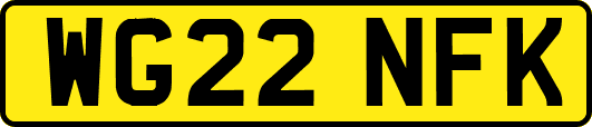 WG22NFK