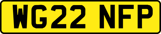 WG22NFP